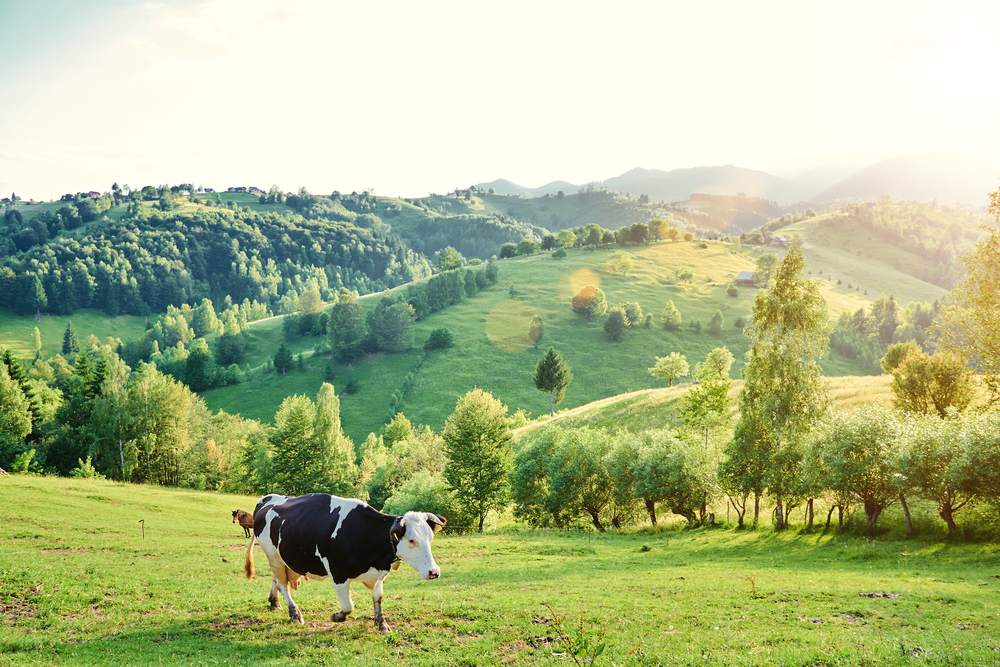 La Suisse Normande